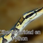 ciberseguridad python
