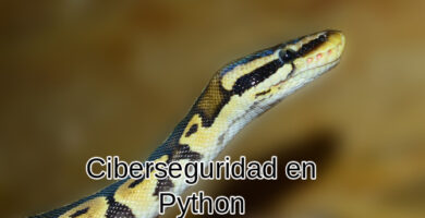 ciberseguridad python